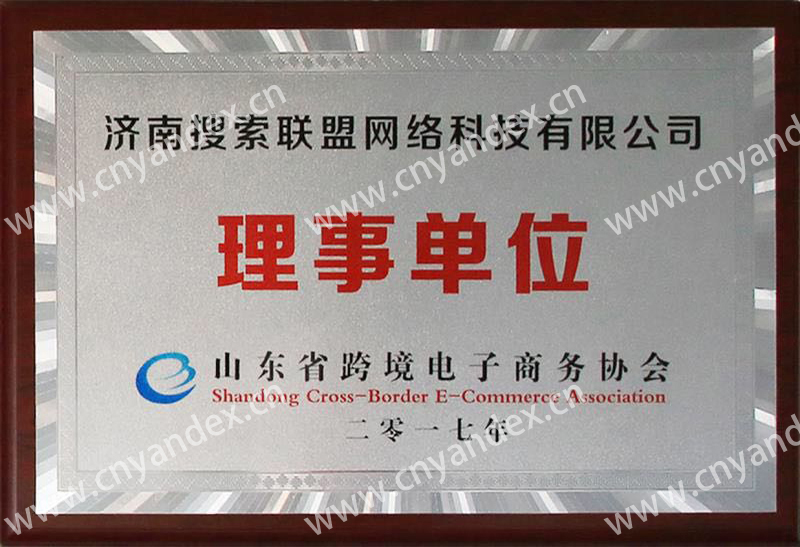 山東省跨境電子商務協(xié)會理事單位