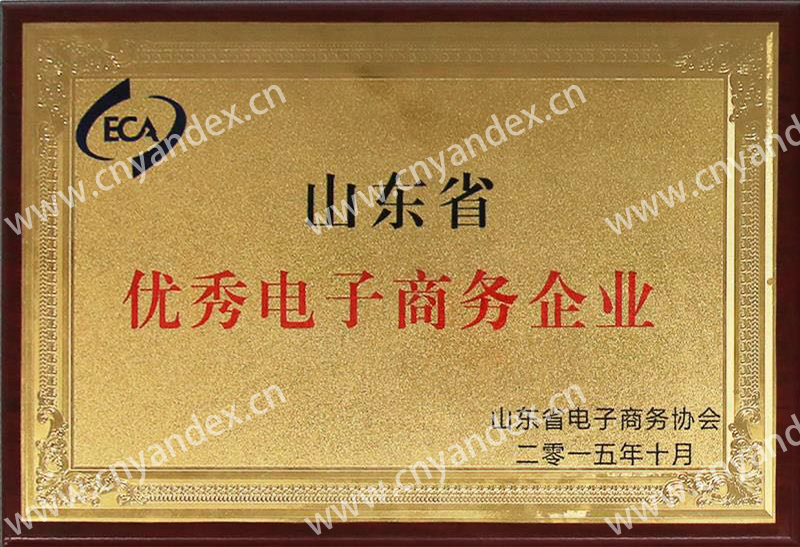 山東省優(yōu)秀電子商務企業(yè)
