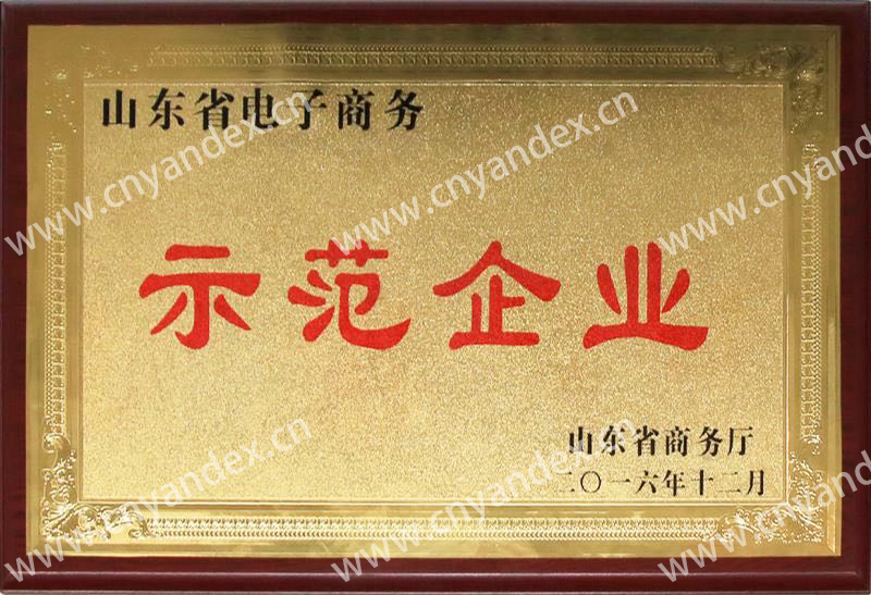 山東省電子商務示范企業(yè)