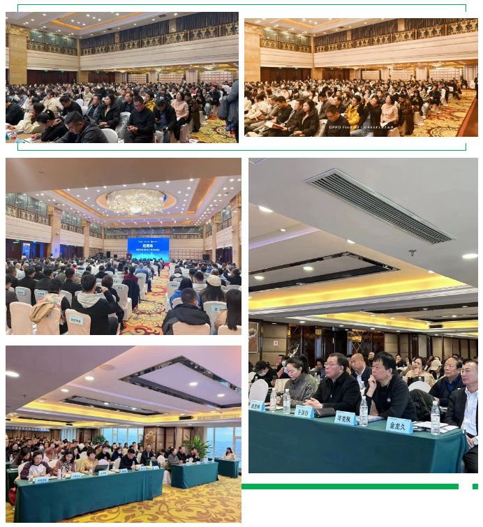 1700787305108463.png image.png